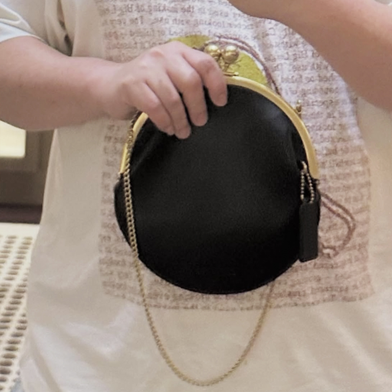 Kisslock Pouch 20cm Clutch Cli - Luxury Bags Outlet review and price